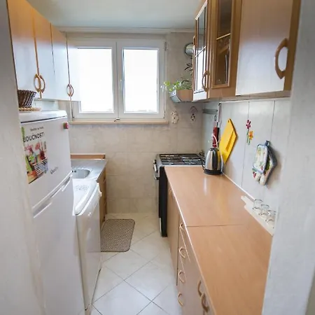 Apartman Ljiljana - Centar *
